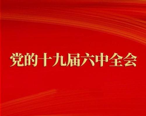 深刻把握党百年奋斗的重大成就——论学习贯彻党的十九届六中全会精神