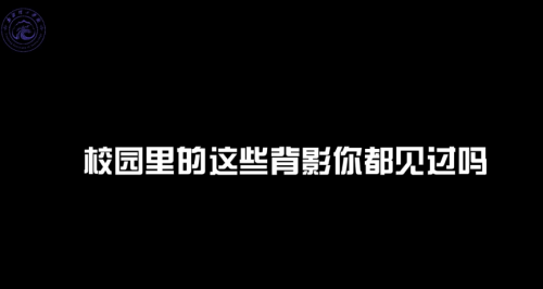 看过了朱自清的《背影》，那你见过新理工的这些背影吗？