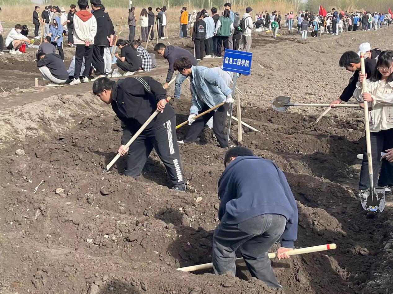 “重温峥嵘岁月 体悟劳动光荣”—信息工程学院学生第三党支部开展义务劳动主题活动